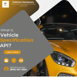 Vehicle Specifications API - What does it mean?