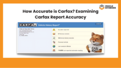 featured image explaining how accurate is carfax