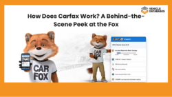 image visualize how carfax work