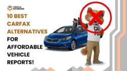 a picture of then artcle "10 Best Carfax Alternatives for Affordable Vehicle Reports!"