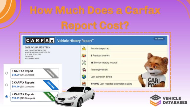 Carfax Report Cost
