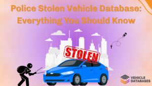 Police Stolen Vehicle Database
