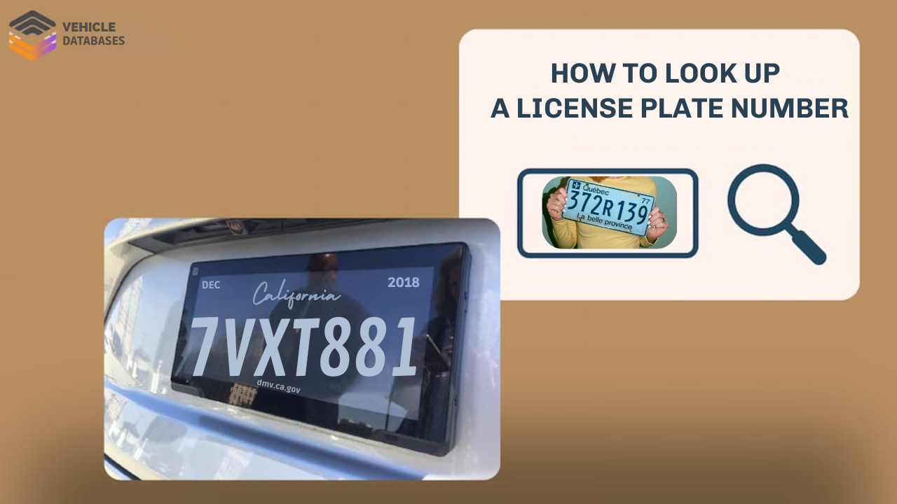 How to Look Up a License Plate Number